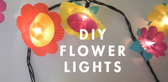 lights,flowers,cupcake,decoration