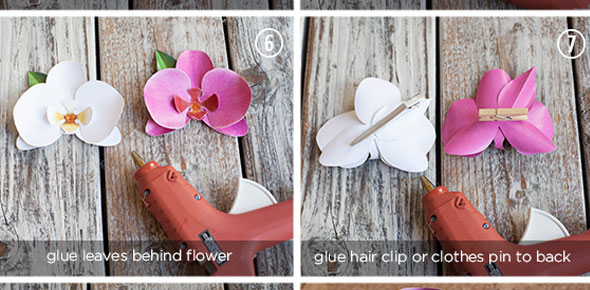 paper,flower,decoration,orchid,wrapping