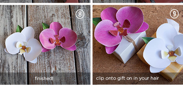 paper,flower,decoration,orchid,wrapping