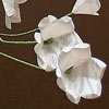 Simple White Paper Flowers